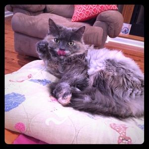 Let’s take a break together.